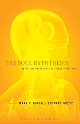 The Soul Hypothesis