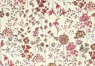 Wildflower Meadow Note Cards (Stationery Boxed Cards)