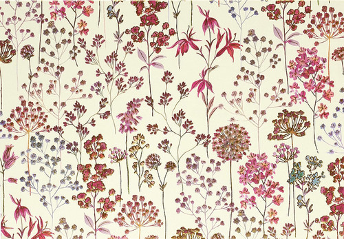 Wildflower Meadow Note Cards (Stationery Boxed Cards)