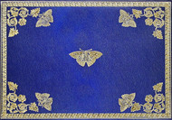 Gilded Butterflies Note Cards