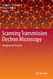 Scanning Transmission Electron Microscopy: Imaging and Analysis