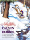 The Authoritative Calvin and Hobbes: A Calvin and Hobbes Treasury