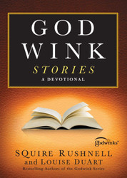 Godwink Stories: A Devotional (3) (The Godwink Series)