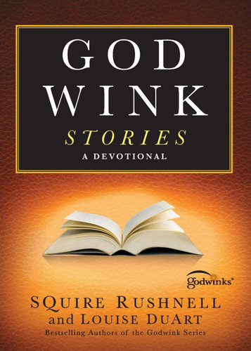 Godwink Stories: A Devotional (3) (The Godwink Series)
