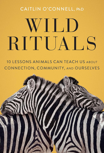 Wild Rituals: 10 Lessons Animals Can Teach Us About Connection