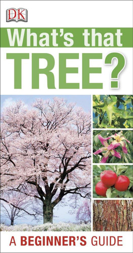 What's that Tree?: A Beginner's Guide