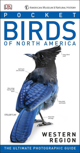 American Museum of Natural History American Museum of Natural History