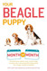 Your Beagle Puppy Month by Month