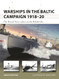 Warships in the Baltic Campaign 1918?