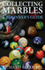 Collecting Marbles: A Beginner's Guide: Learn how to RECOGNIZE the