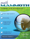 Math Mammoth Grade 2-B Student Worktext