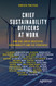 Chief Sustainability Officers At Work: How CSOs Build Successful Chief Sustainability Officers At Work: How CSOs Build Successful