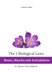 The 5 Biological Laws: Bones Muscles and Articulations: Dr. Hamer's