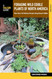 Foraging Wild Edible Plants of North America