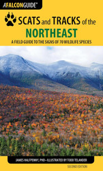 Scats and Tracks of the Northeast: A Field Guide to the Signs of 70