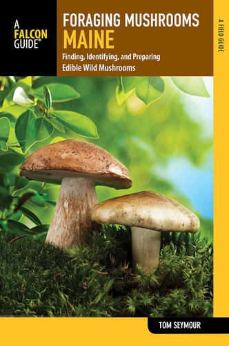 Foraging Mushrooms Maine: Finding Identifying and Preparing Edible