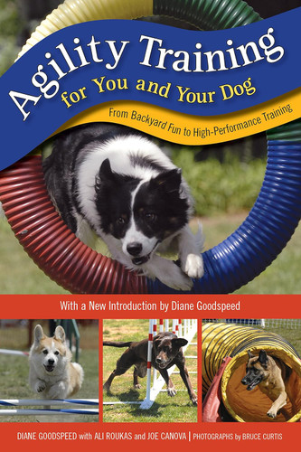Agility Training for You and Your Dog: From Backyard Fun to