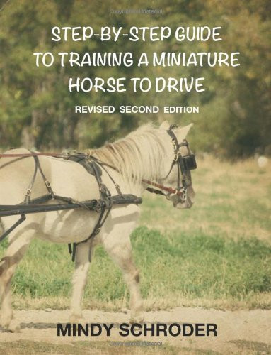 Step By Step Guide To Training A Miniature Horse To Drive: