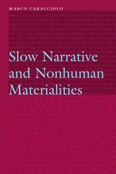 Slow Narrative and Nonhuman Materialities