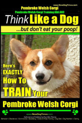Pembroke Welsh Corgi Pembroke Welsh Corgi Training AAA AKC