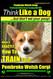 Pembroke Welsh Corgi Pembroke Welsh Corgi Training AAA AKC