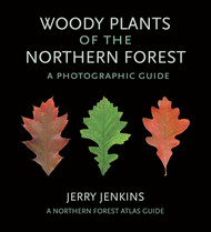 Woody Plants of the Northern Forest: A Photographic Guide