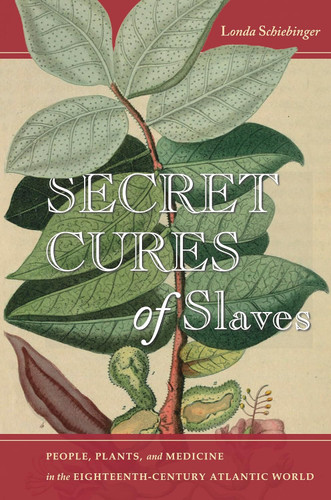 Secret Cures of Slaves: People Plants and Medicine in the