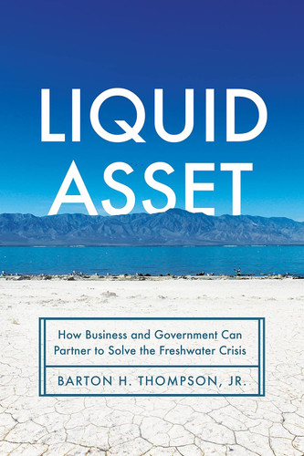 Liquid Asset: How Business and Government Can Partner to Solve the