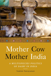 Mother Cow Mother India: A Multispecies Politics of Dairy in India