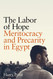 The Labor of Hope: Meritocracy and Precarity in Egypt