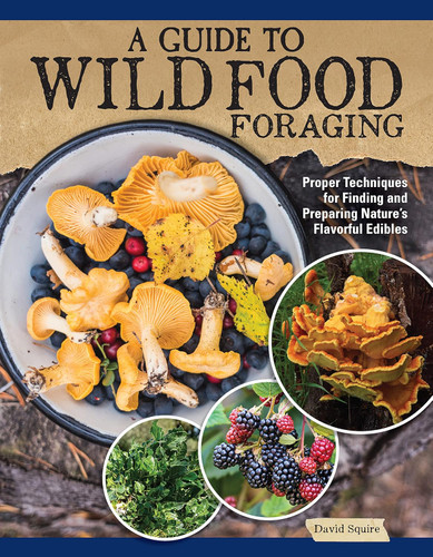A Guide to Wild Food Foraging