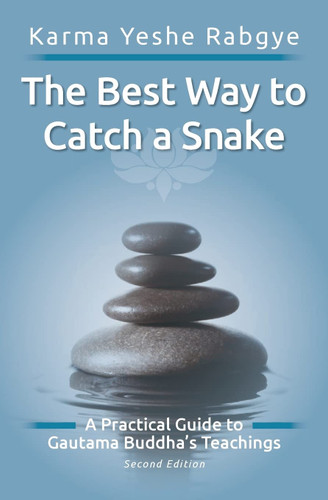 The Best Way to Catch a Snake: A Practical Guide To Gautama Buddha's