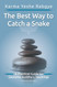 The Best Way to Catch a Snake: A Practical Guide To Gautama Buddha's