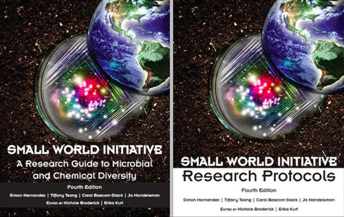Small World Initiative