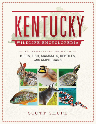 Kentucky Wildlife Encyclopedia: An Illustrated Guide to Birds Fish