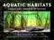 Aquatic Habitats: Aquariums Inspired by Nature