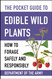 The Pocket Guide to Edible Wild Plants: How to Forage Safely and