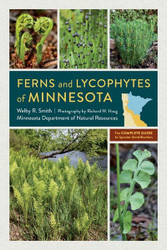 Ferns and Lycophytes of Minnesota: The Complete Guide to Species