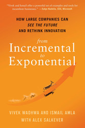 From Incremental to Exponential: How Large Companies Can See the