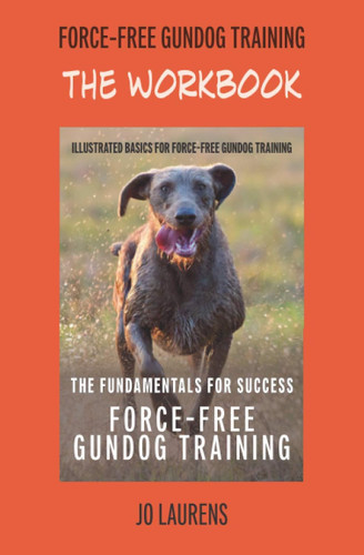The Workbook