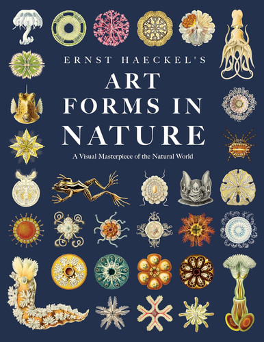 Ernst Haeckel's Art Forms in Nature: A Visual Masterpiece of the