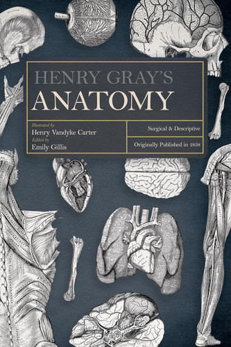 Henry Gray's Anatomy: Descriptive and Surgical