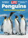 LIFE Penguins