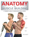 Anatomy of Muscle Building