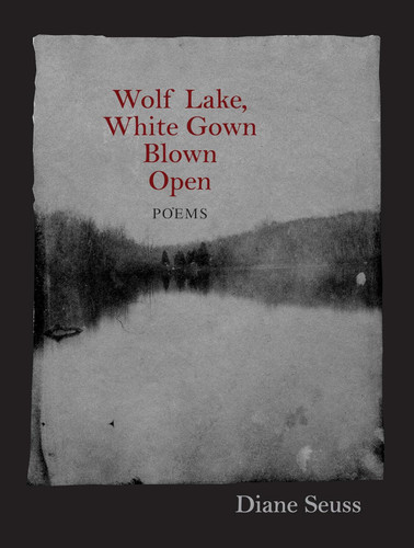 Wolf Lake White Gown Blown Open