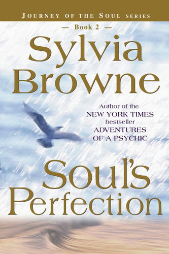 Soul's Perfection (Journey of the Soul's Service Book 2) Soul's Perfection (Journey of the Soul's Service Book 2)