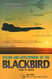 From Archangel to Senior Crown: Design and Development of the