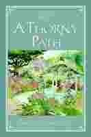 The Fairhaven Chronicles book 4: A Thorny Path