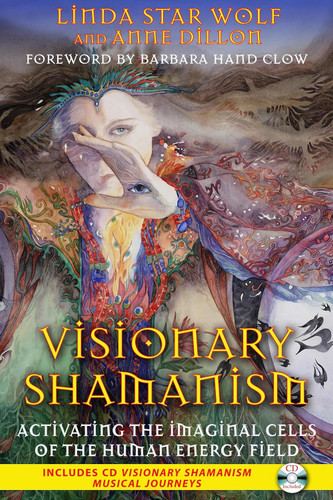 Visionary Shamanism: Activating the Imaginal Cells of the Human