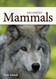 Mammals of the Midwest Playing Cards (Nature's Wild Cards)